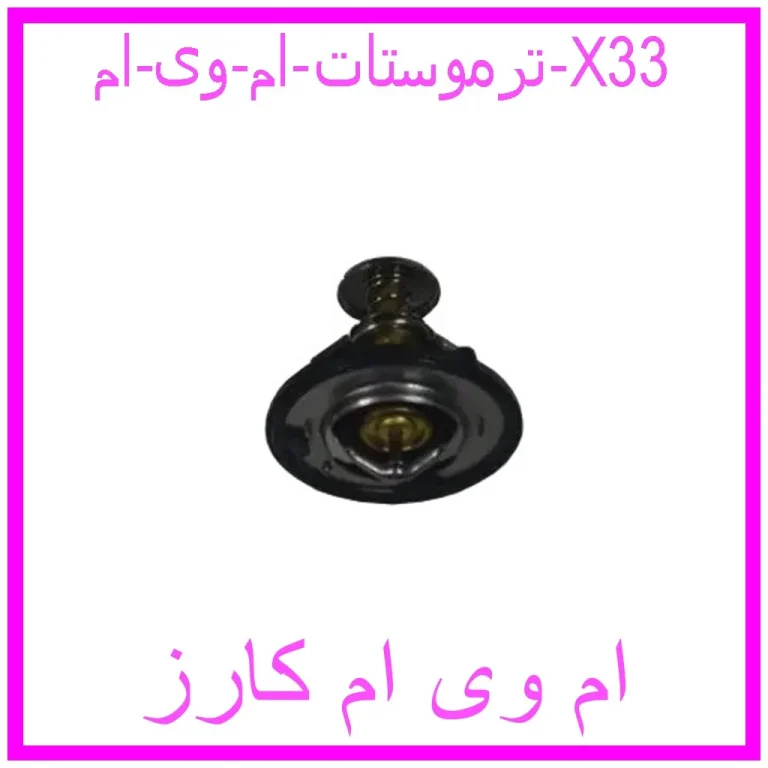 ترموستات ام وی ام X33