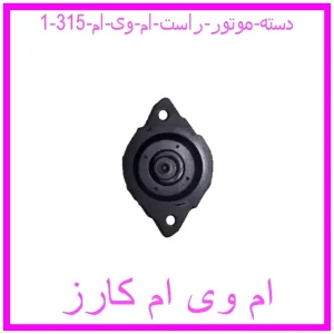 مشاهده و خرید دسته موتور راست ام وی ام 315 با بهترین قیمت از ام وی ام کارز