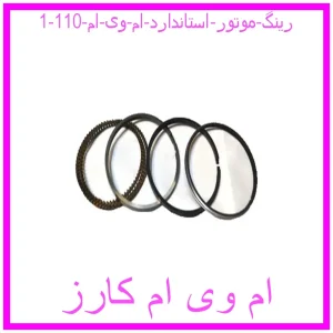 رینگ موتور استاندارد ام وی ام 110 مشاهده و خرید رینگ موتور استاندارد ام وی ام 110 با بهترین قیمت از ام وی ام کارز