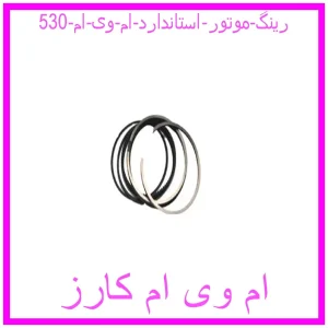 مشاهده و خرید رینگ موتور استاندارد ام وی ام 530 با بهترین قیمت از ام وی ام کارز