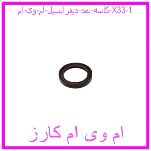 مشاهده و خرید کاسه نمد دیفرانسیل ام وی ام X33 با بهترین قیمت از ام وی ام کارز